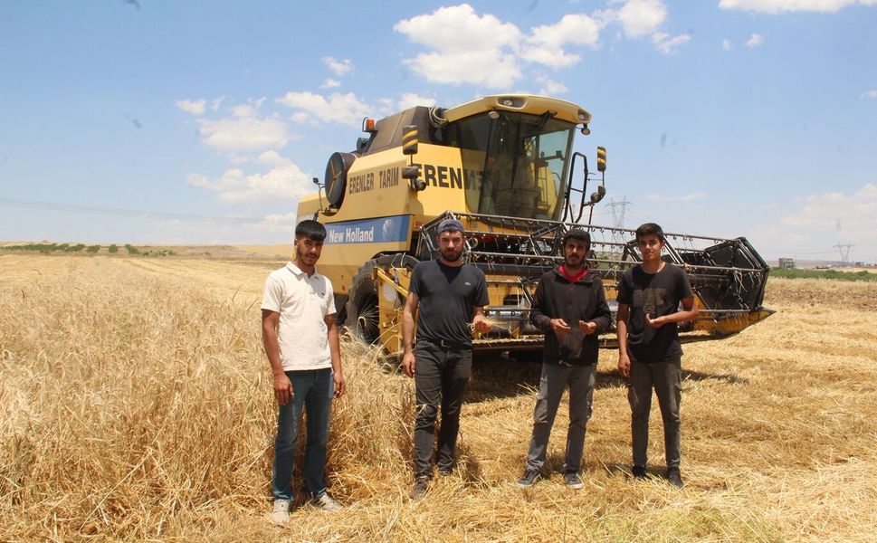 Arpa hasadına başlayan çiftçiler verimden memnun, maliyetlerden şikâyetçi