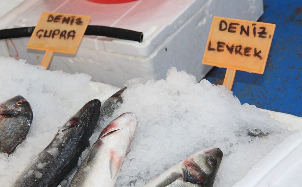 Balık sezonu bitti: Tezgahlarda çupra, levrek, somon ve alabalık var