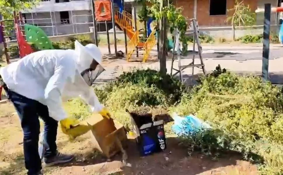 Batman Belediyesi'nden Örnek Davranış: İlaçlama Öncesi Arı Kolonisi Koruma Altına Alındı!