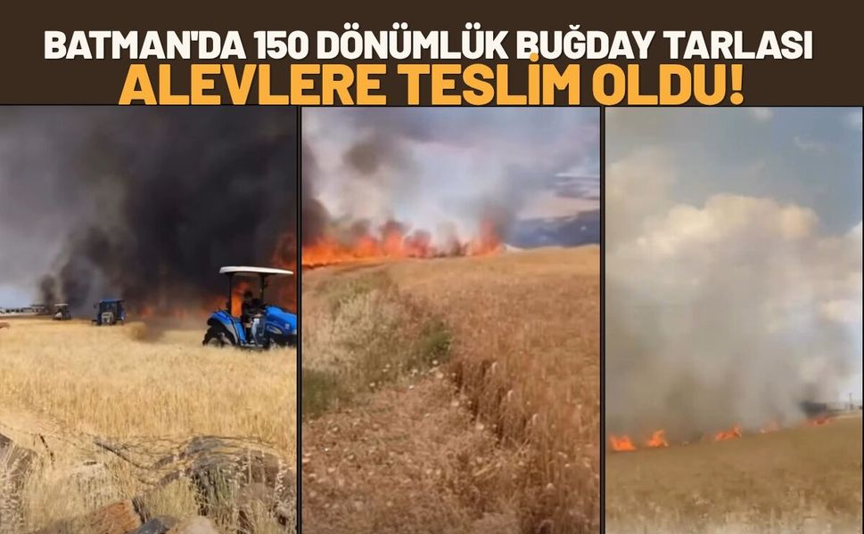 Batman'da 150 Dönümlük Buğday Tarlası Alevlere Teslim Oldu!