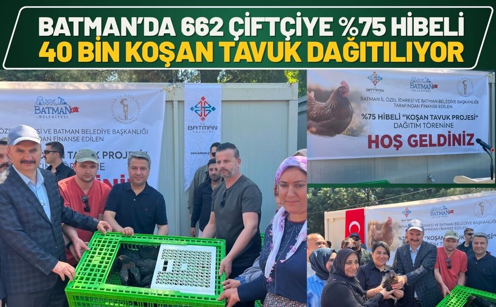 Batman’da 662 Çiftçiye %75 Hibeli 40 Bin Koşan Tavuk Dağıtılıyor
