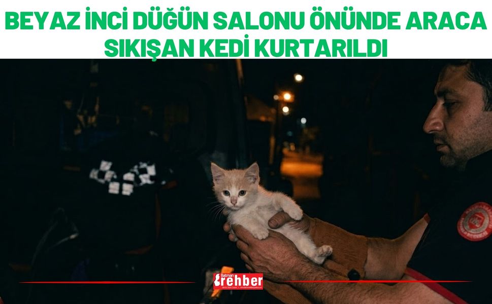 Beyaz İnci Düğün Salonu Önünde Araca Sıkışan Kedi Kurtarıldı