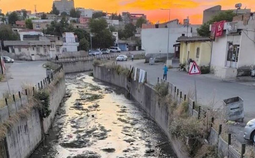 İluh Deresi'nde Yosun ve Koku Sorunu: Mahalle Sakinleri Çözüm Bekliyor