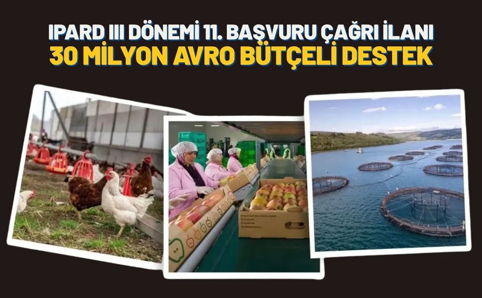 IPARD III Dönemi 11. Başvuru Çağrı İlanı: 30 Milyon Avro Bütçeli Destek