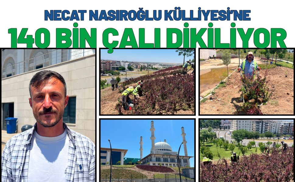 Necat Nasıroğlu Külliyesi’ne 140 Bin Çalı Dikiliyor