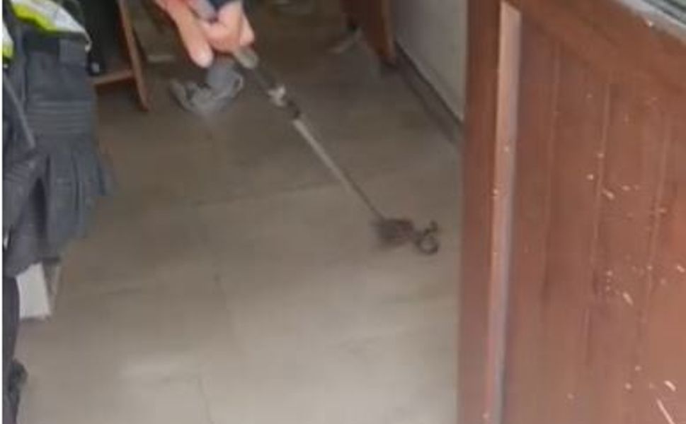 OSB Güvenlik Kulübesinde Yılan Alarmlı Dakikalar!