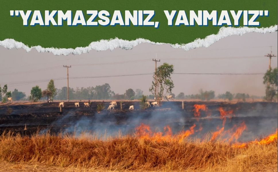 Yakmazsanız, Yanmayız