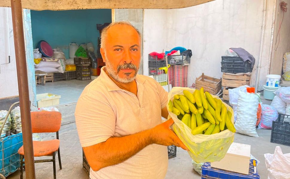 Alo Tevşo Pazarı'nda Turşuluk Sezonu Başladı