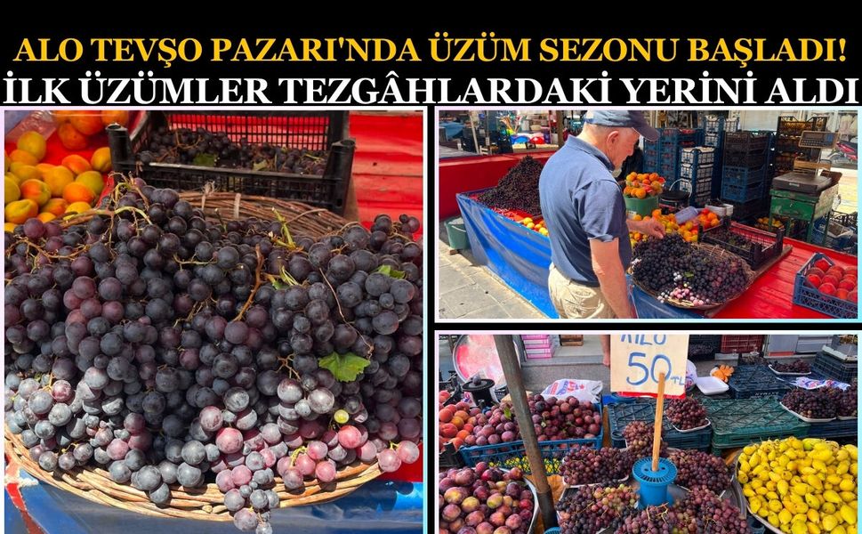 Alo Tevşo Pazarı'nda Üzüm Sezonu Başladı! İlk Üzümler Tezgâhlardaki Yerini Aldı