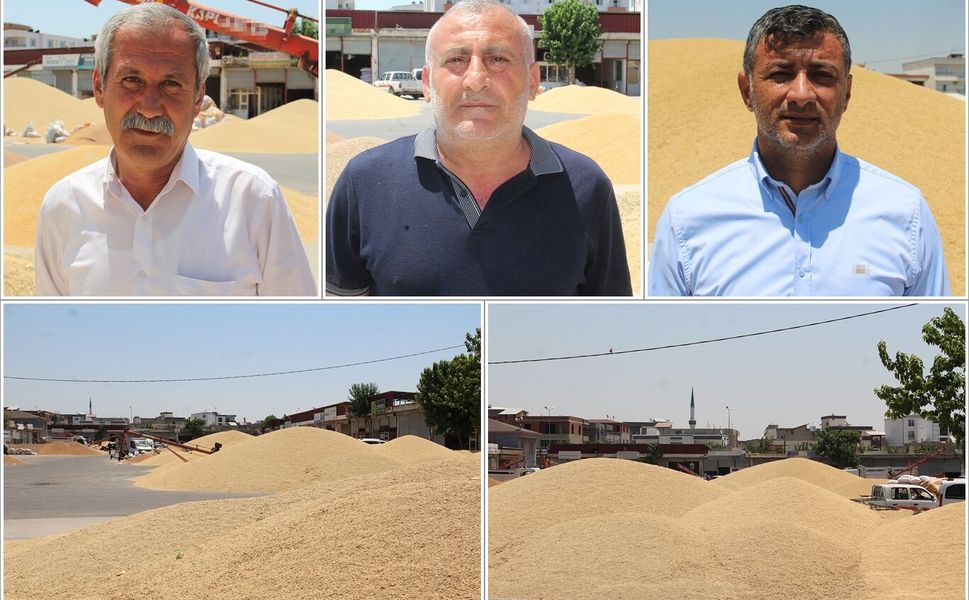Batman'da buğday piyasası kilitlendi: Üretici ve tüccardan TMO'ya 'ÇKS' çağrısı
