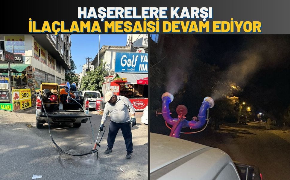Batman'da Haşerelere Karşı İlaçlama Mesaisi Devam Ediyor