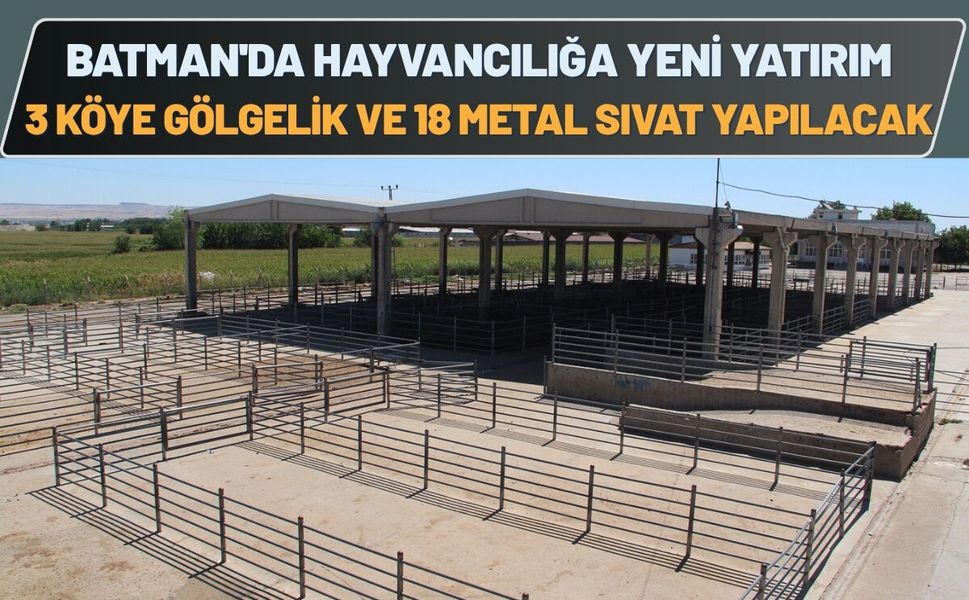 Batman'da Hayvancılığa Yeni Yatırım: 3 Köye Gölgelik ve 18 Metal Sıvat Yapılacak