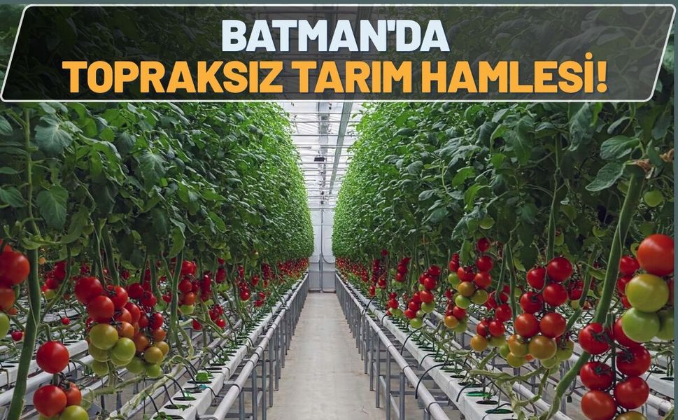 Batman'da Topraksız Tarım Hamlesi! 69 Kişiye İstihdam Fırsatı