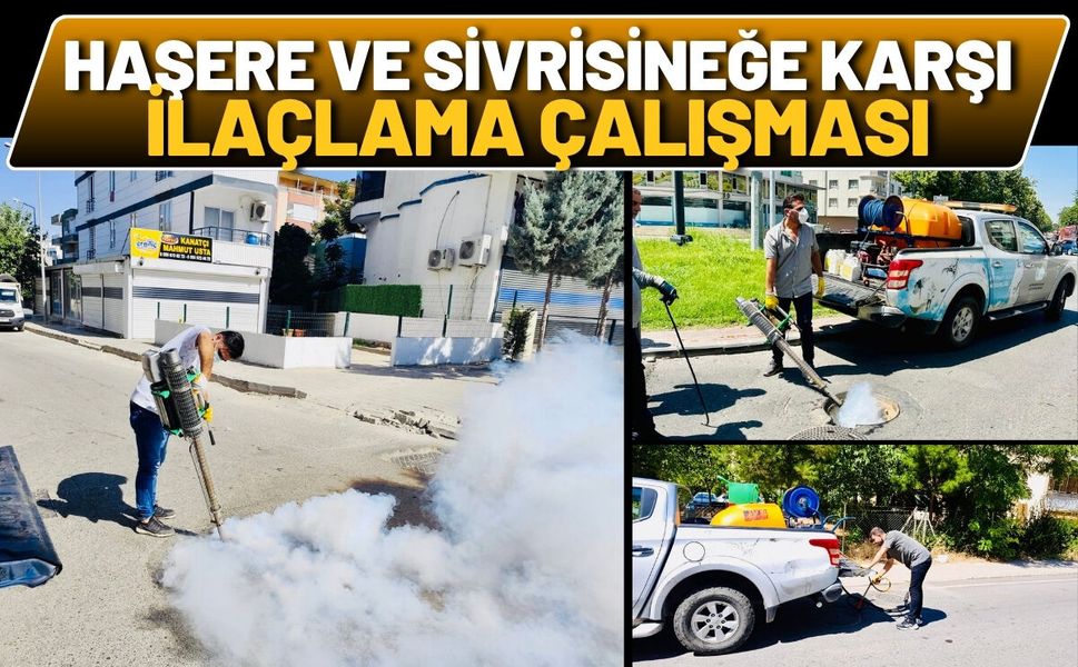 Batman’da Haşere ve Sivrisineğe Karşı İlaçlama Çalışması