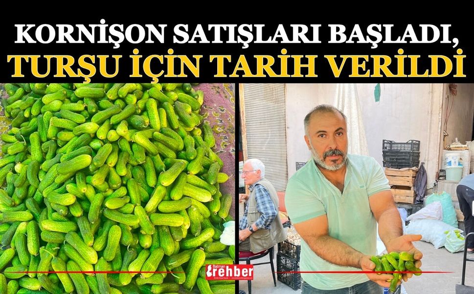 Kornişon Satışları Başladı, Turşu İçin Tarih Verildi