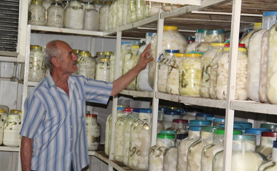 Yaz sıcaklarına karşı peynirler soğuk hava depolarına emanet