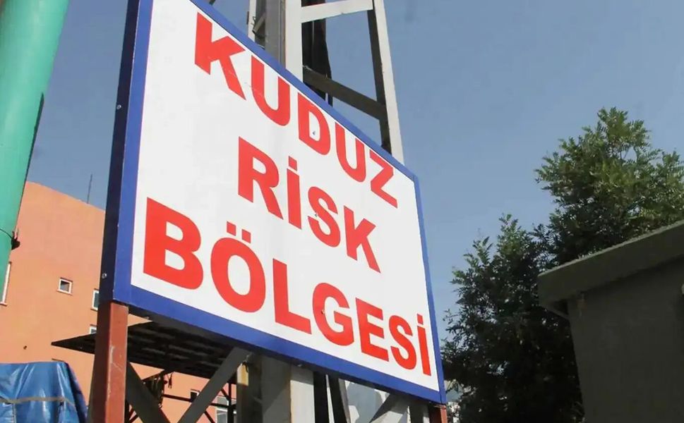 3 yaşındaki çocukta kuduz vakası tespit edildi