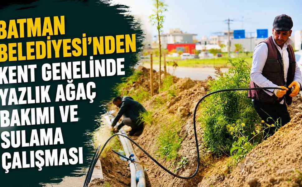 Batman Belediyesi’nden Kent Genelinde Yazlık Ağaç Bakımı ve Sulama Çalışması
