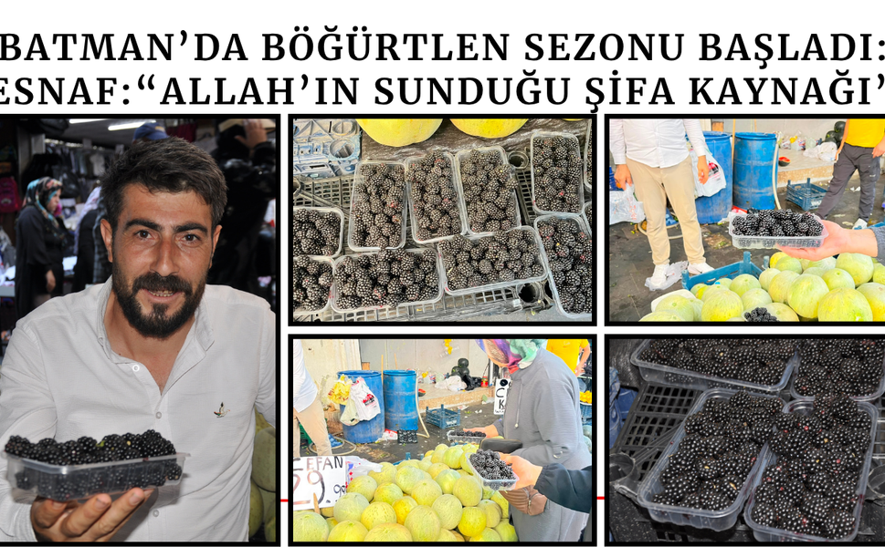 Batman’da Böğürtlen Sezonu Başladı: Esnaf: “Allah’ın Sunduğu Şifa Kaynağı”