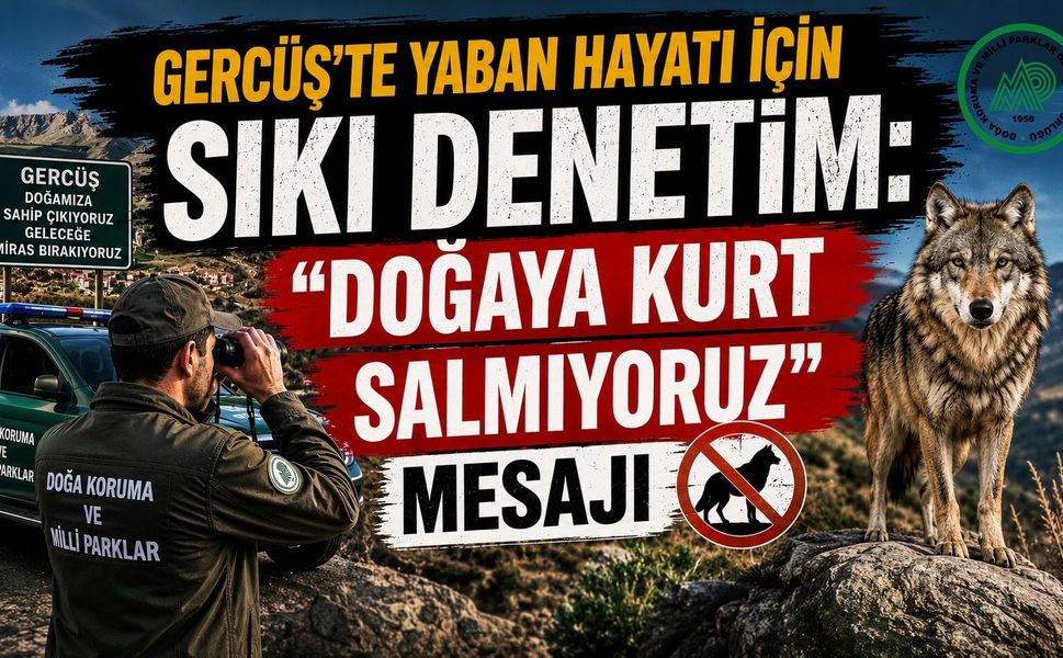 Gercüş’te Yaban Hayatı İçin Sıkı Denetim: “Doğaya Kurt Salmıyoruz”