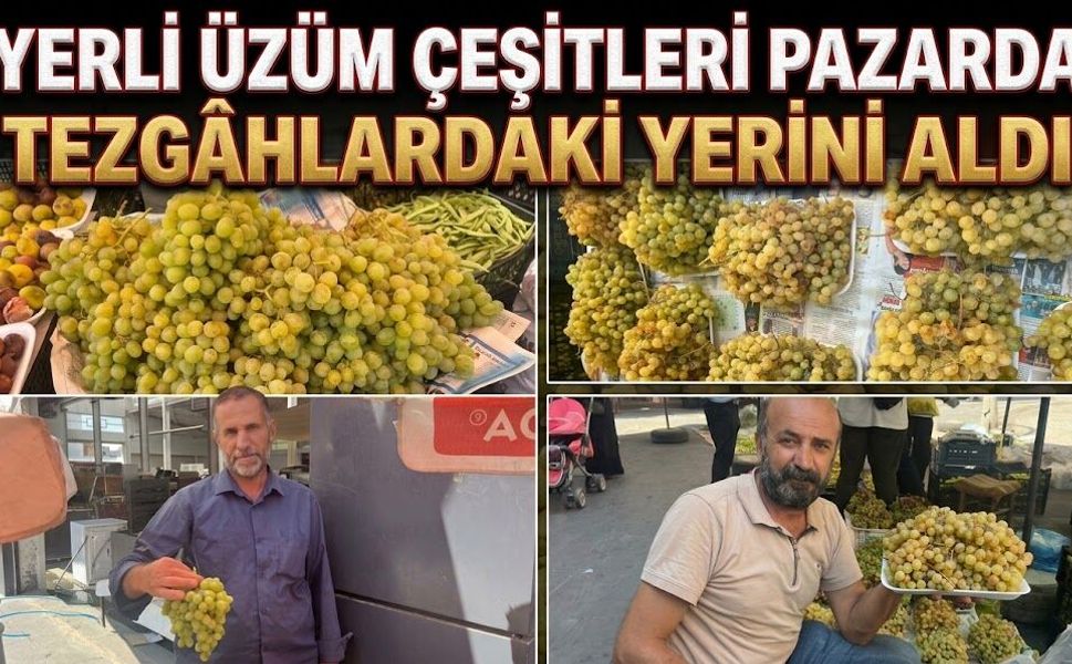 Yerli Üzüm Çeşitleri Pazarda Tezgâhlardaki Yerini Aldı
