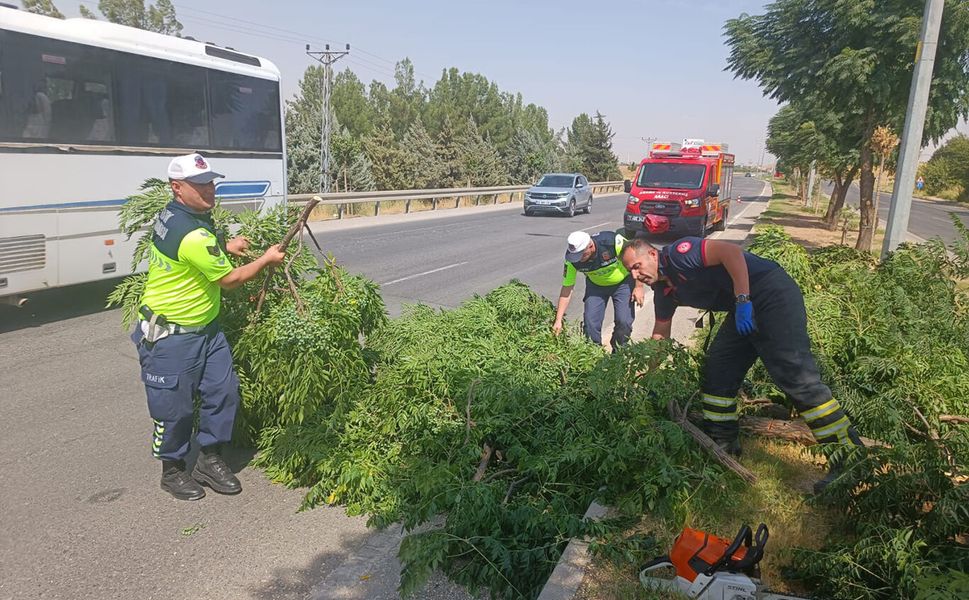 Batman-Silvan yolunda fırtına nedeniyle ağaçlar devrildi