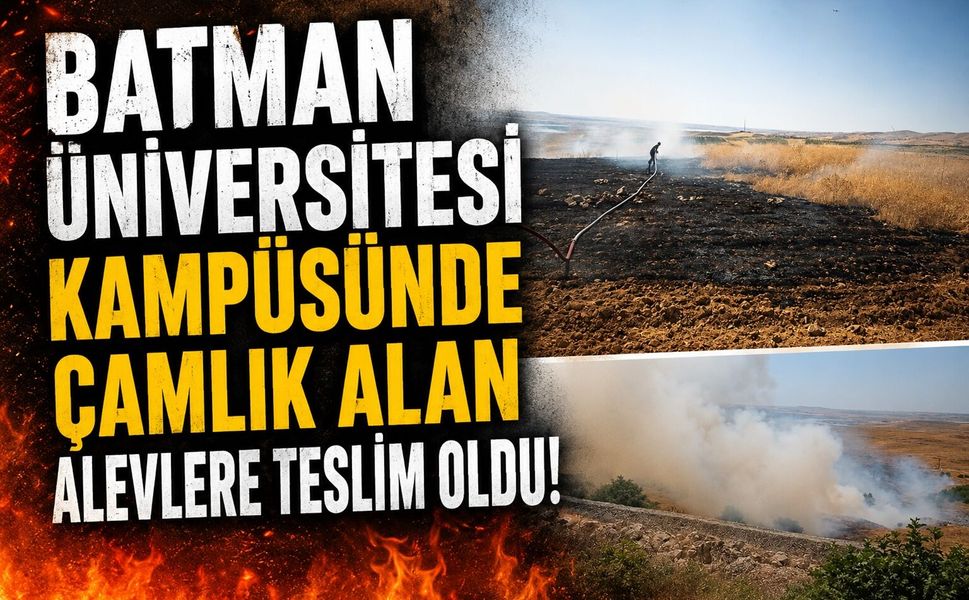 Batman Üniversitesi Kampüsünde Çamlık Alan Alevlere Teslim Oldu
