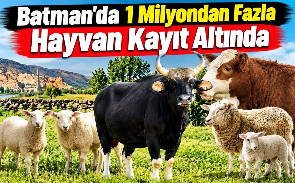 Batman’da Bir Milyondan Fazla Hayvan Kayıt Altında