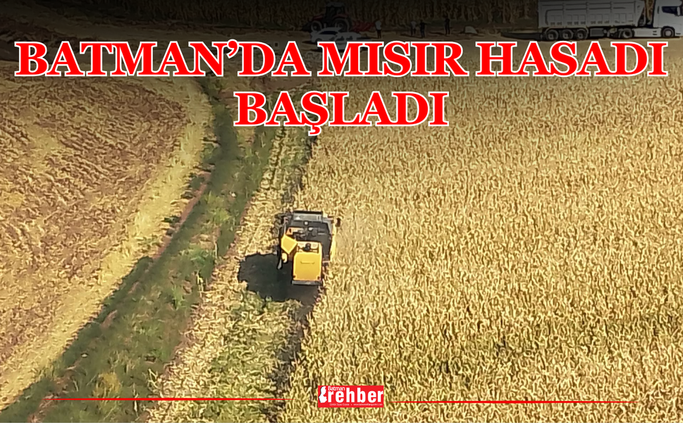 Batman’da Mısır Hasadı Başladı