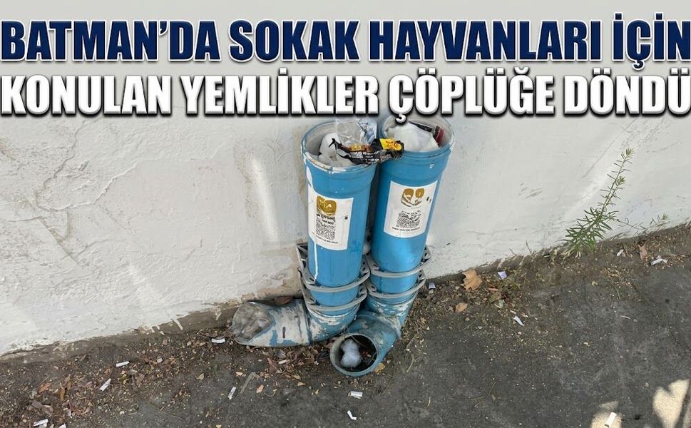 Batman’da Sokak Hayvanları İçin Konulan Yemlikler Çöplüğe Döndü