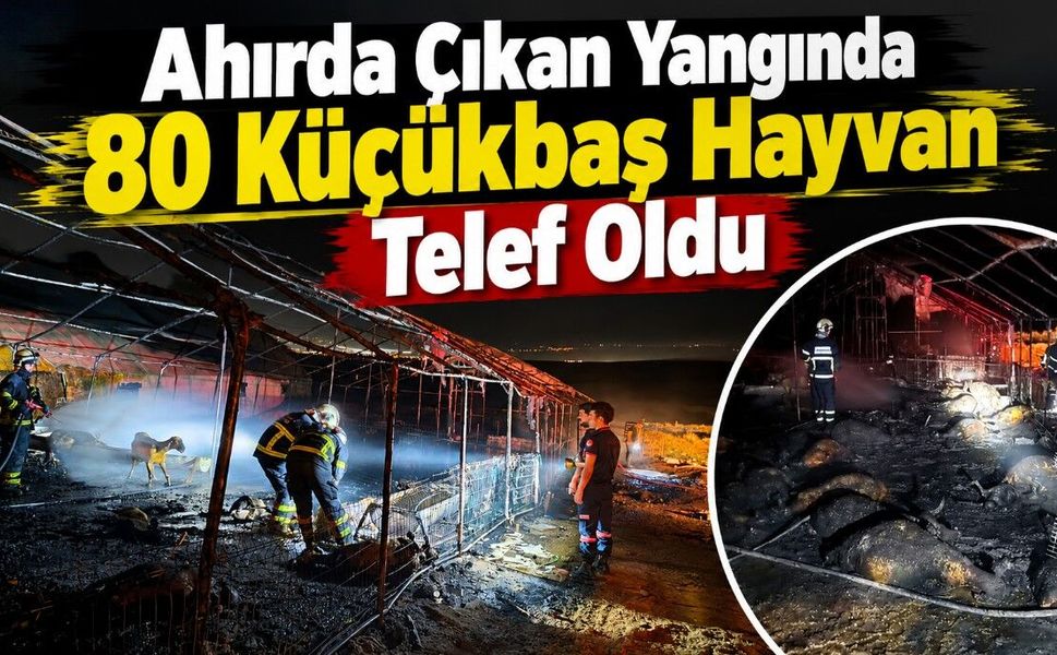 Ahırda Çıkan Yangında 80 Küçükbaş Hayvan Telef Oldu