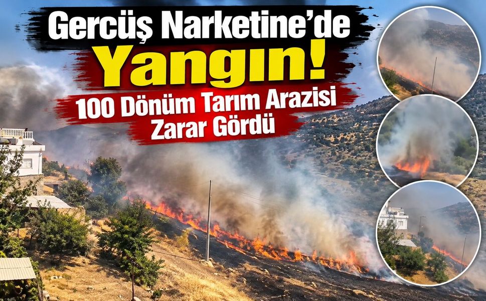 Gercüş Narketine’de Yangın! 100 Dönüm Tarım Arazisi Zarar Gördü