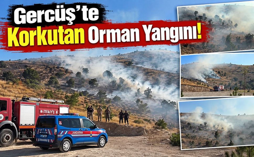 Gercüş’te Korkutan Orman Yangını!