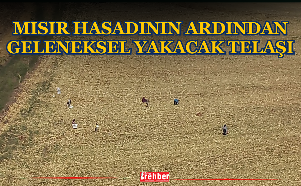 Mısır Hasadının Ardından Geleneksel Yakacak Telaşı