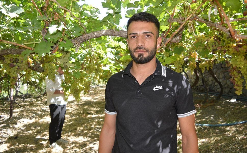 Komşu ilde üzüm hasadı başladı: Üreticiler sulama ve fiyat sorununa dikkat çekti