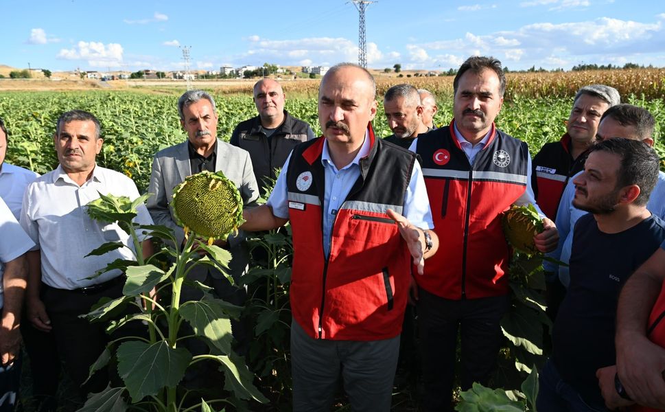 “Yağlık Ayçiçeği Tarla Günü” Etkinliği Yapıldı