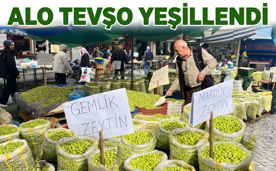 ALO TEVŞO YEŞİLLENDİ