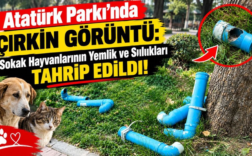 Atatürk Parkı’nda Çirkin Görüntü: Sokak Hayvanlarının Yemlik ve Sulukları Tahrip Edildi!