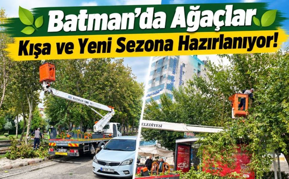 Batman’da Ağaçlar Kışa ve Yeni Sezona Hazırlanıyor!