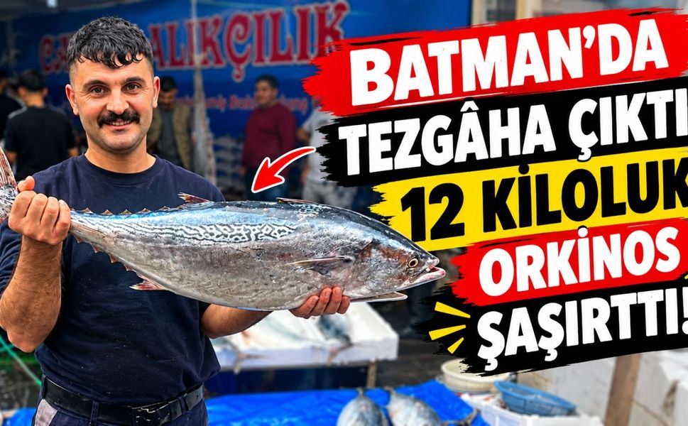 Batman’da Tezgâha Çıktı: 12 Kiloluk Orkinos Şaşırttı!