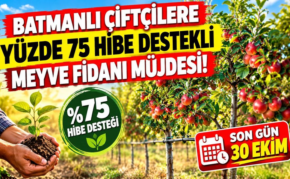 Batmanlı Çiftçilere Yüzde 75 Hibe Destekli Meyve Fidanı Müjdesi! Son Gün 30 Ekim