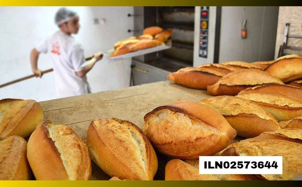 EKMEK FIRINI BAKIM VE ONARIM İŞLERİ YAPTIRILACAKTIR