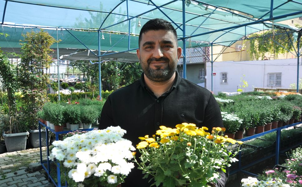 Kasımpatı Kış Aylarının Gözdesi